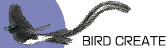 BIRD-CREATE画像